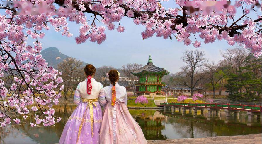 3月热收中_樱花_明洞_韩式