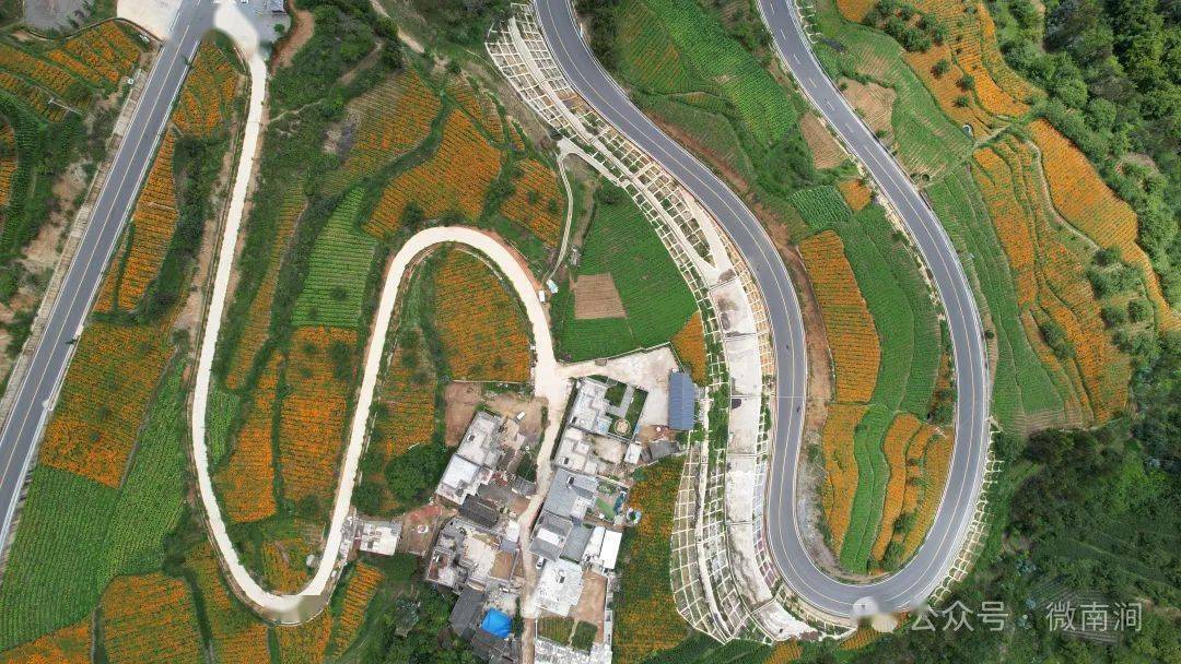 南涧县拥翠乡:激活乡村潜能,让乡村更美,产业更兴,农民更富_发展_文化