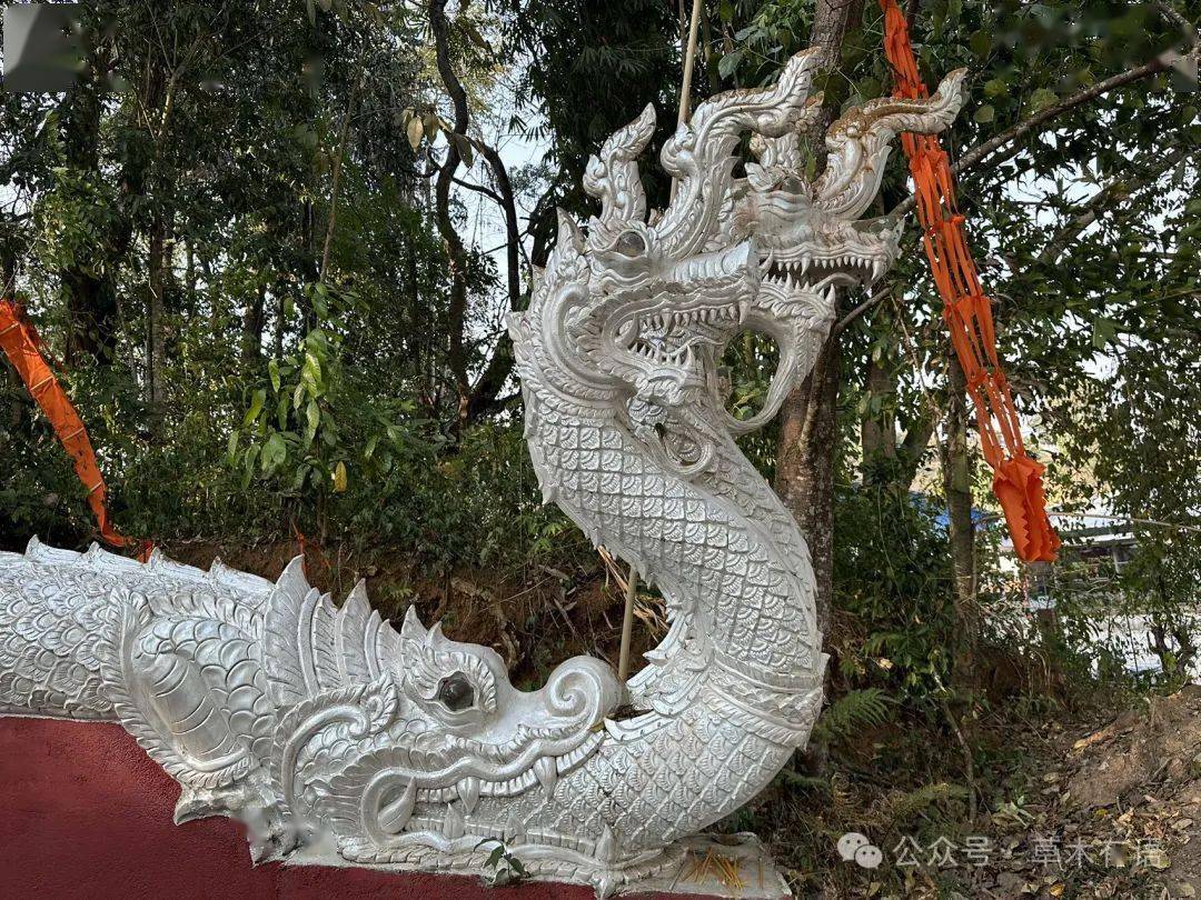 就被门口的龙行雕刻的大门吸引了,结果一休哥远程指导说是蛇神娜迦