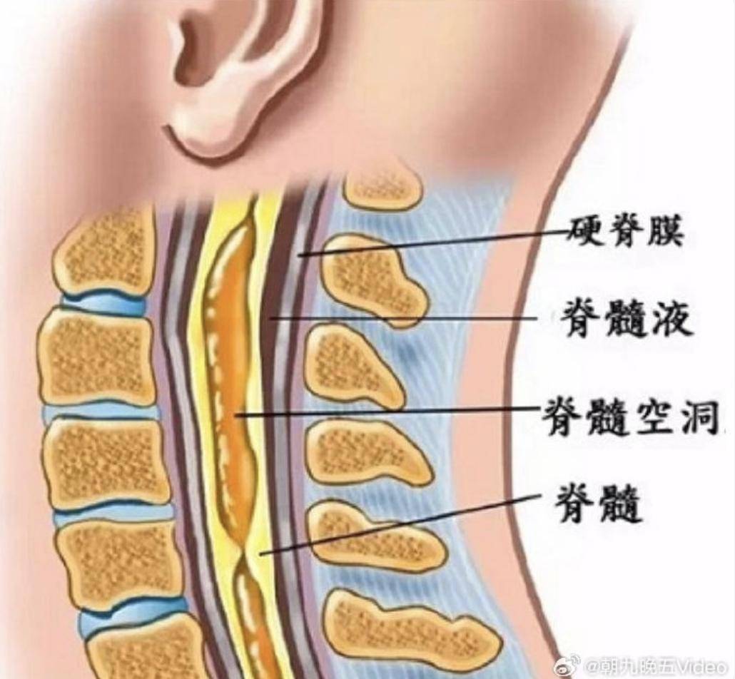 29岁女作家离世,去年确诊罕见病,最初以为只是感冒_脊髓_网友_身体