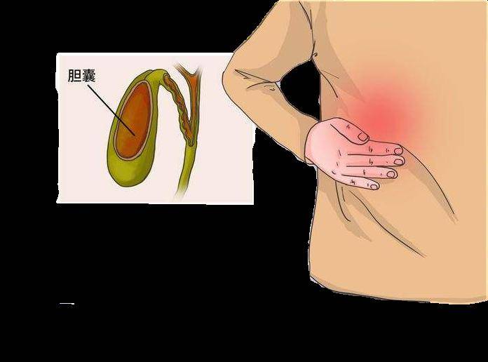 【健康科普】生食河鲜,警惕肝吸虫病_宿主_哺乳动物_淡水鱼