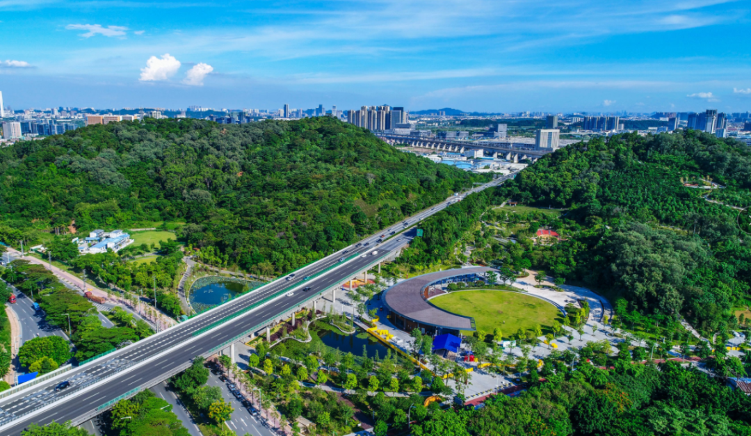 佛山50公里徒步南海线火热报名中!入口→_公园_活动_信息