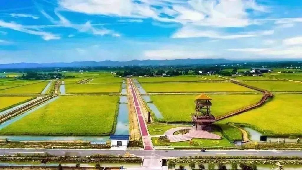 成都市委农村工作会议召开,刘刚作交流发言_农业_邛崃市_天府