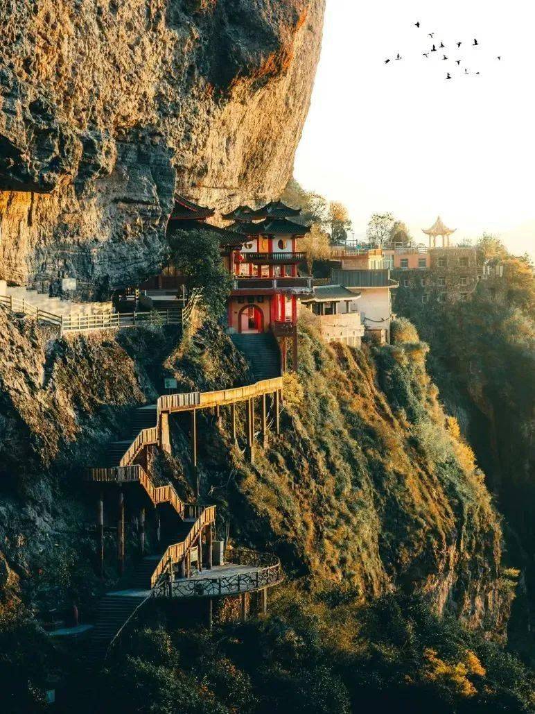 春色满园关不住,来漳州「上春山」_人间_景区_高峰
