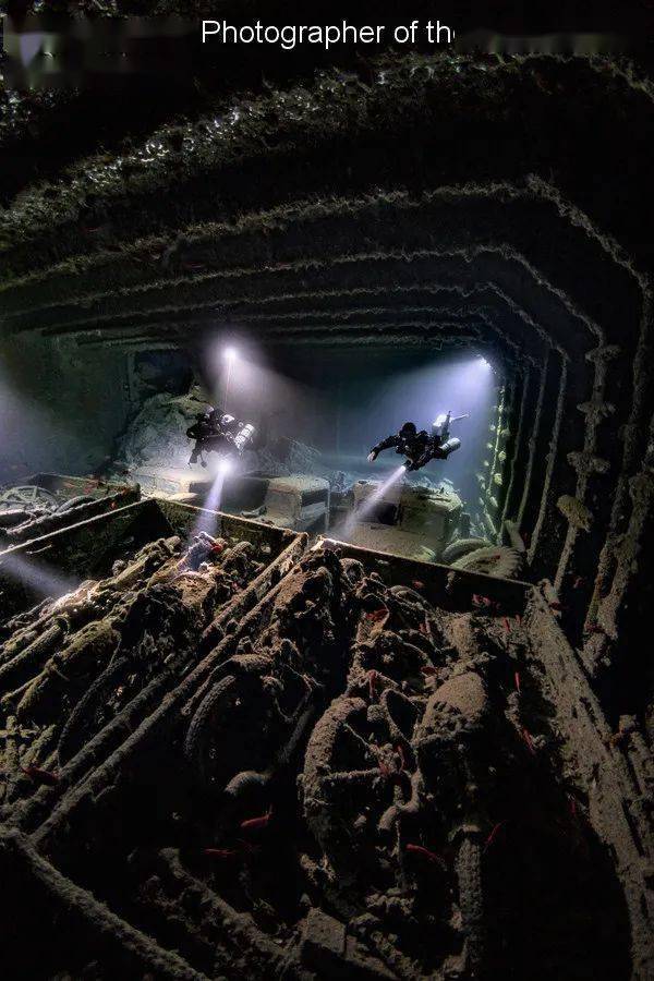 underwater photographer of the year_英国_鲸鱼_螃蟹