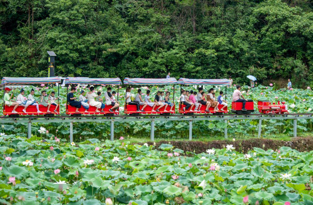 地点:安文街道殊闲村推荐地点:尖山镇湖上村安文街道殊闲村金鸡岩景区