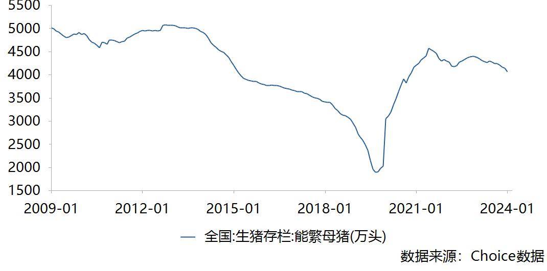 能繁母猪存栏量数据图图片