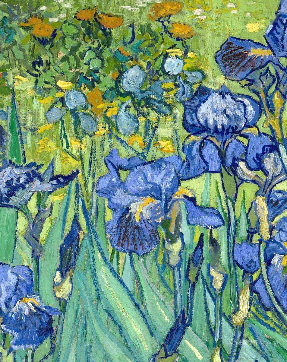 《鸢尾花》1889年   71x93cm  收藏于洛杉矶盖兹美术馆1889年5月,梵高