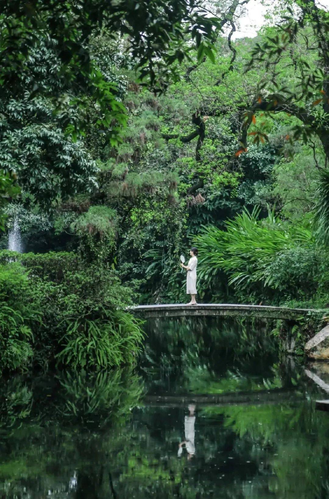 倾斜的雨,飘飘然倾落这片7千多平方公里的大地;天降的甘露,浸润广州的