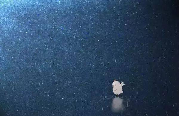 词语_人物_阳光