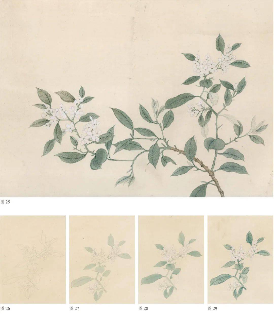 春日里的花花世界元钱选八花图卷技法精讲