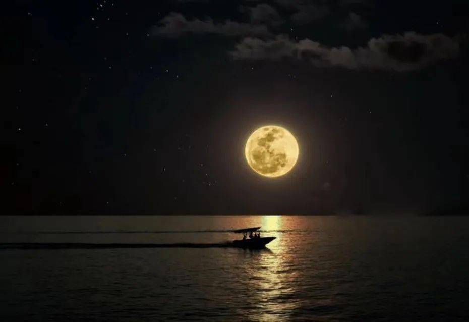 靖哥哥   题图|网络本期作者(按收稿顺序):张建刚,淡淡白荷,杏海月影