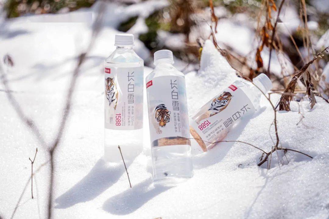 我们用长白山的雪宴请了南方来客_森林_雪花_水源地