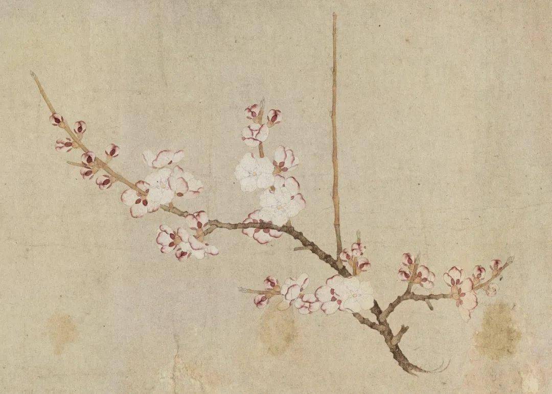 春日里的花花世界元钱选八花图卷技法精讲