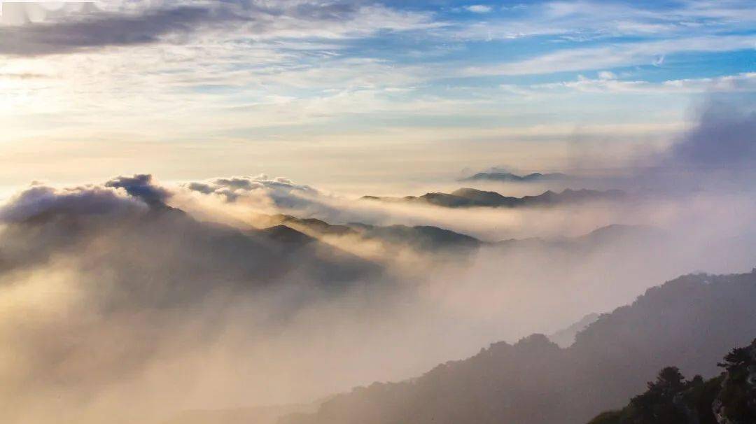 免票!_沂蒙山_景区_门票