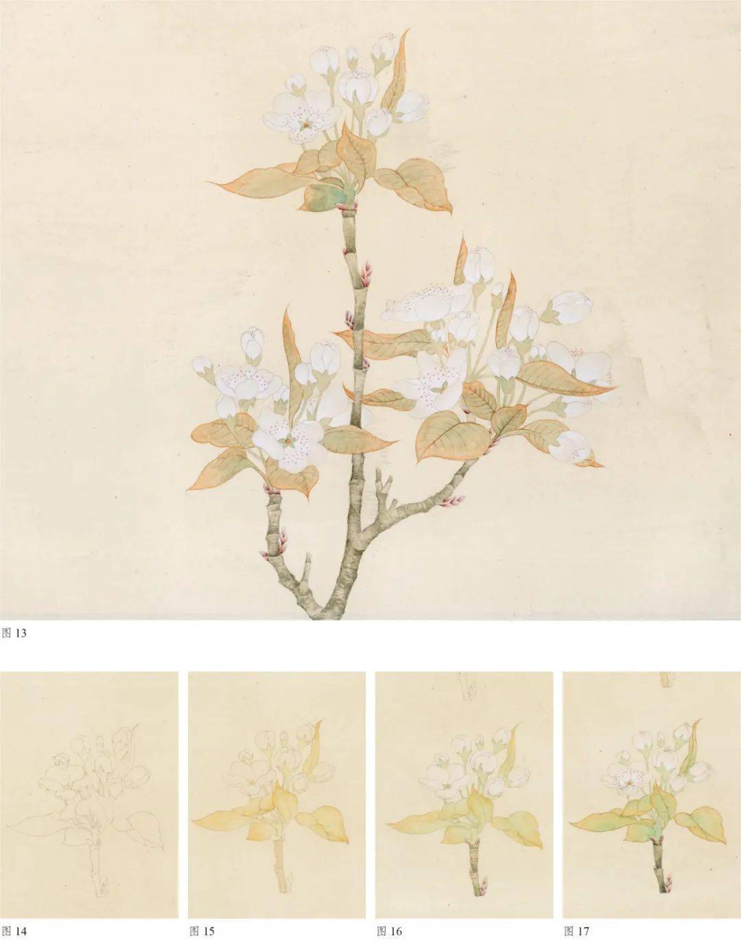 春日里的花花世界