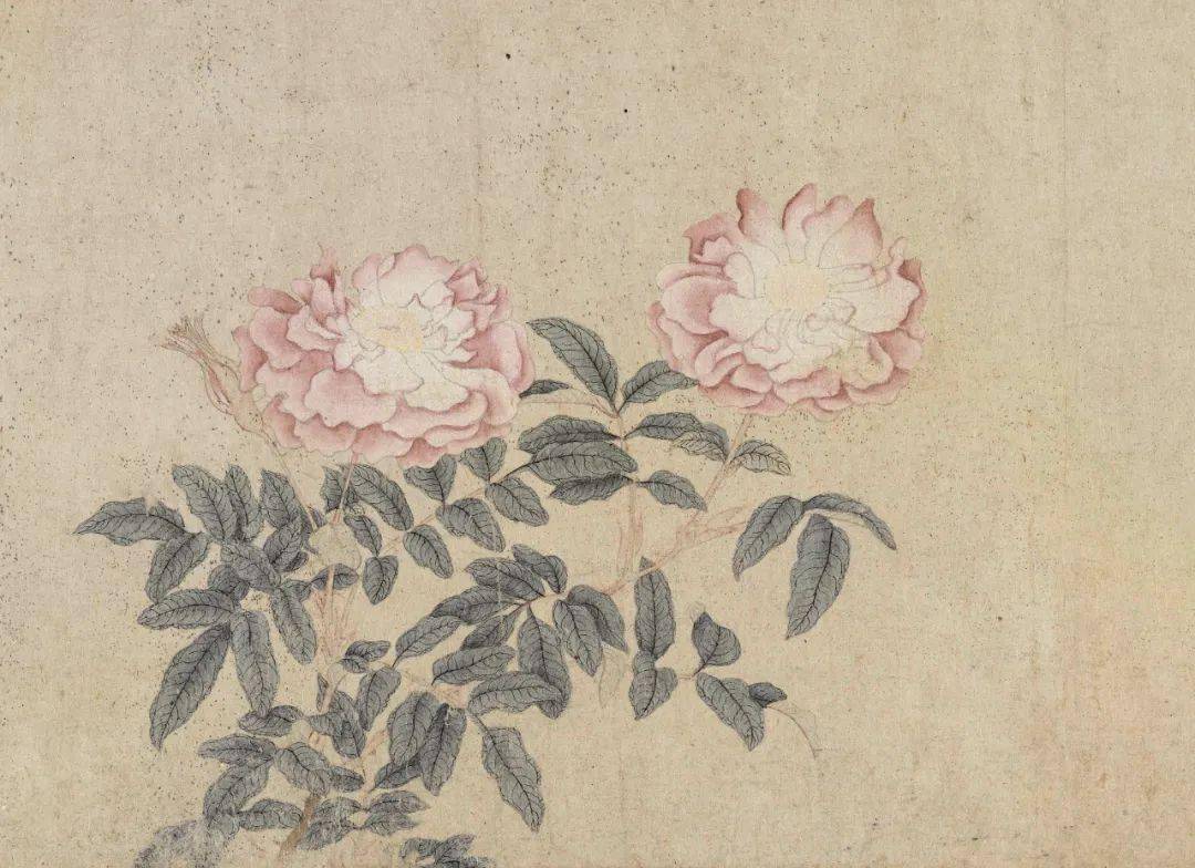 春日里的花花世界元钱选八花图卷技法精讲