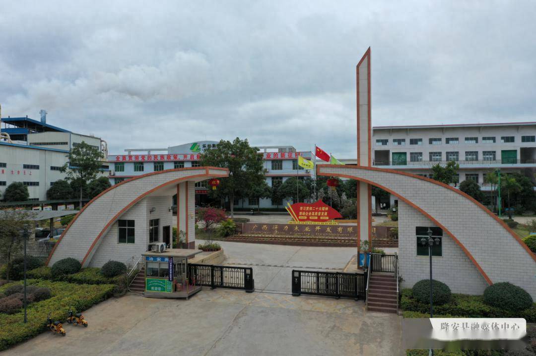 为新一年的目标打下坚实基础_隆安县_广西_生产