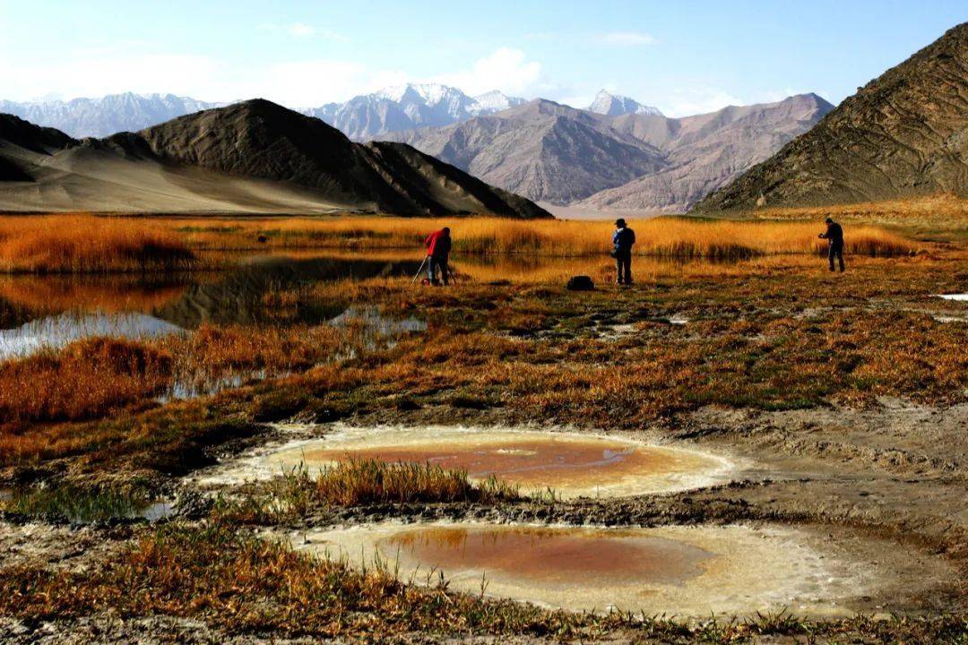 巴州做客央视都推荐了什么