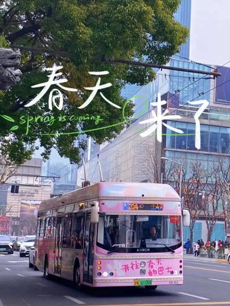 开往春天的巴士,带你打卡魔都春日浪漫_上海_外滩_南京路