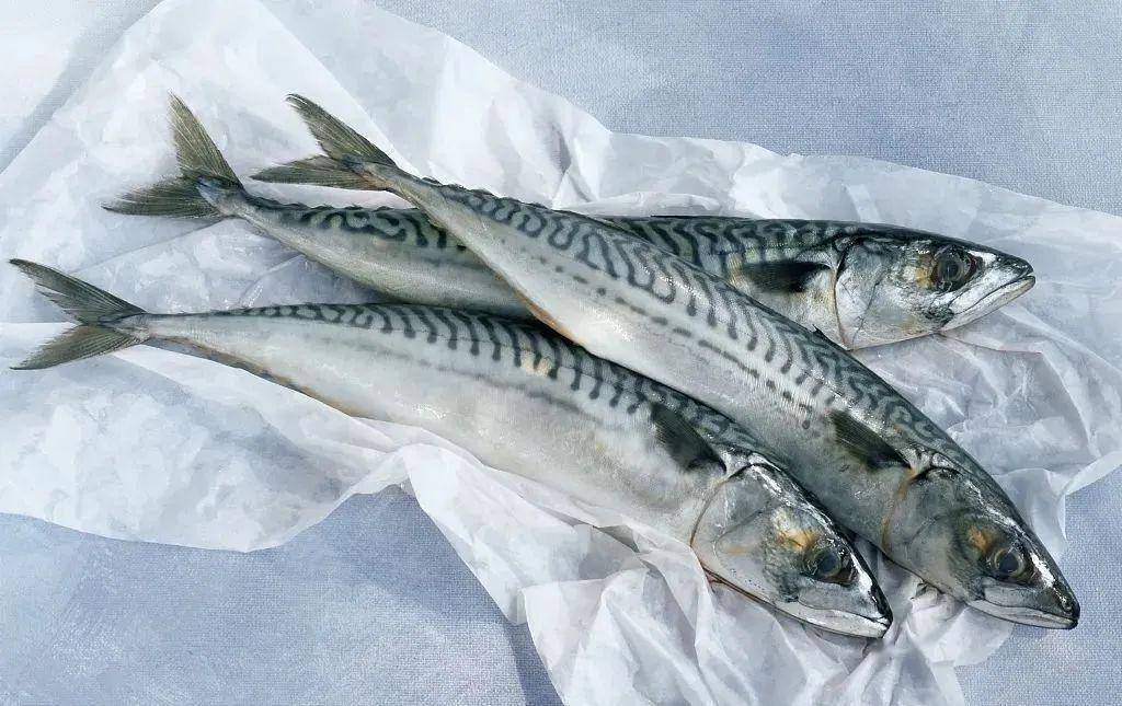 食品_危害_食用