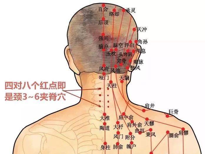 夹脊穴是经外奇穴,可调节督脉和足太阳经的经气,缓解局部疼痛.