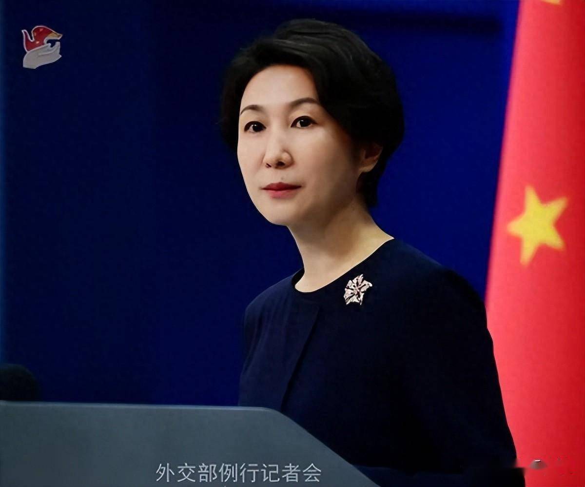 英方粗暴干涉,中方坚决反对_香港特区政府_毛宁_立法