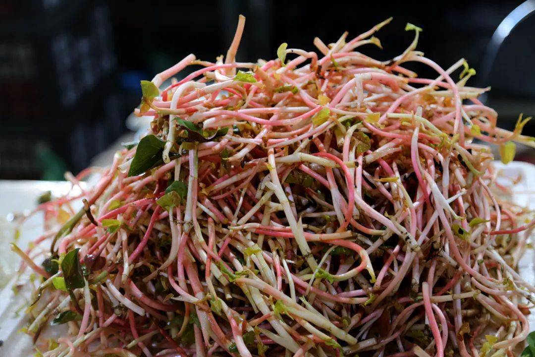 咬住春天,在大理67" 放肆撒野 "_马桑_树皮_木瓜