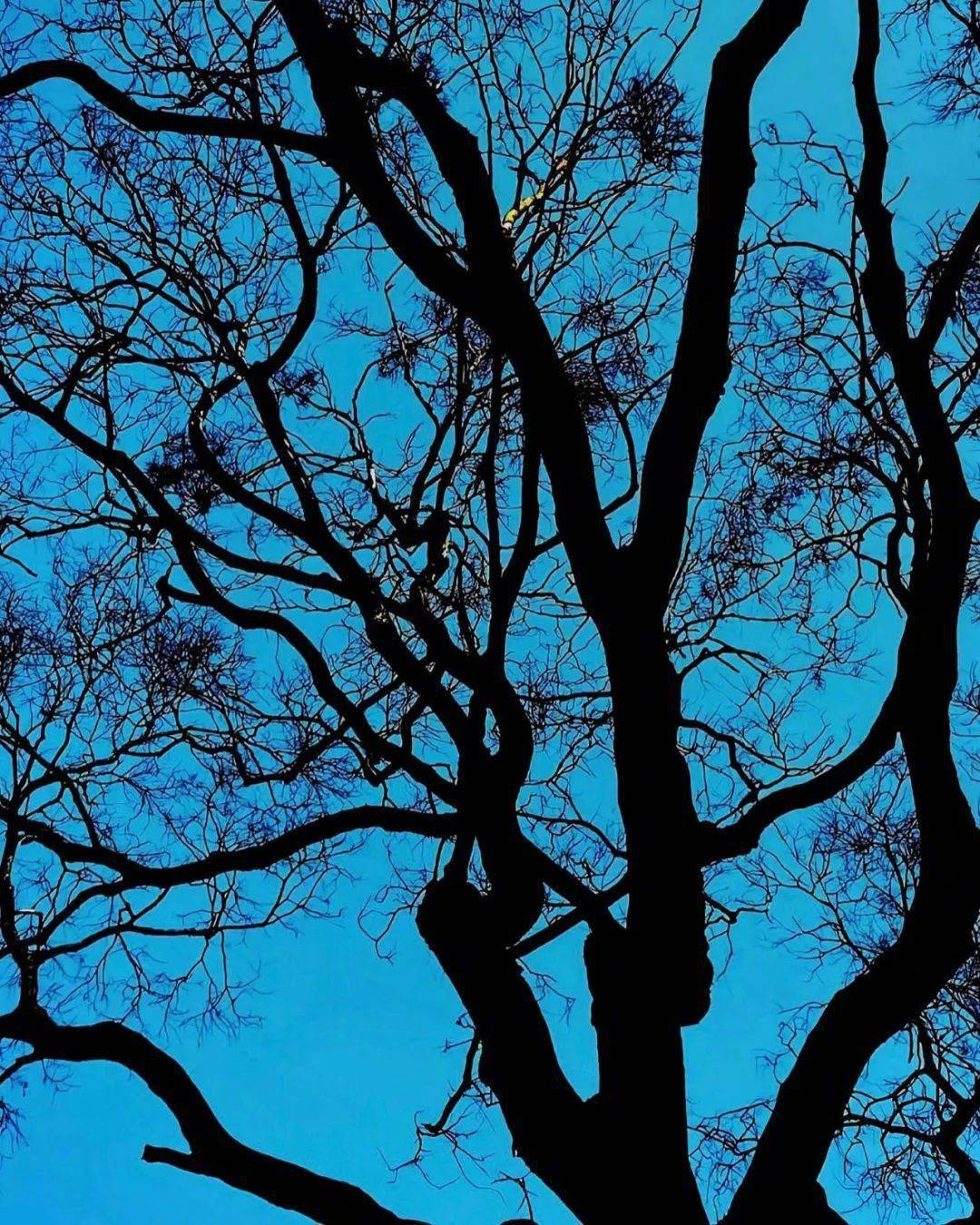 九句丨要春日晚风,吹过期期漫漫_都藏_日子_光阴