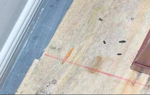 02 粪便老鼠行走时有时会留下足印,尾巴会拖地,留下一条长尾迹.