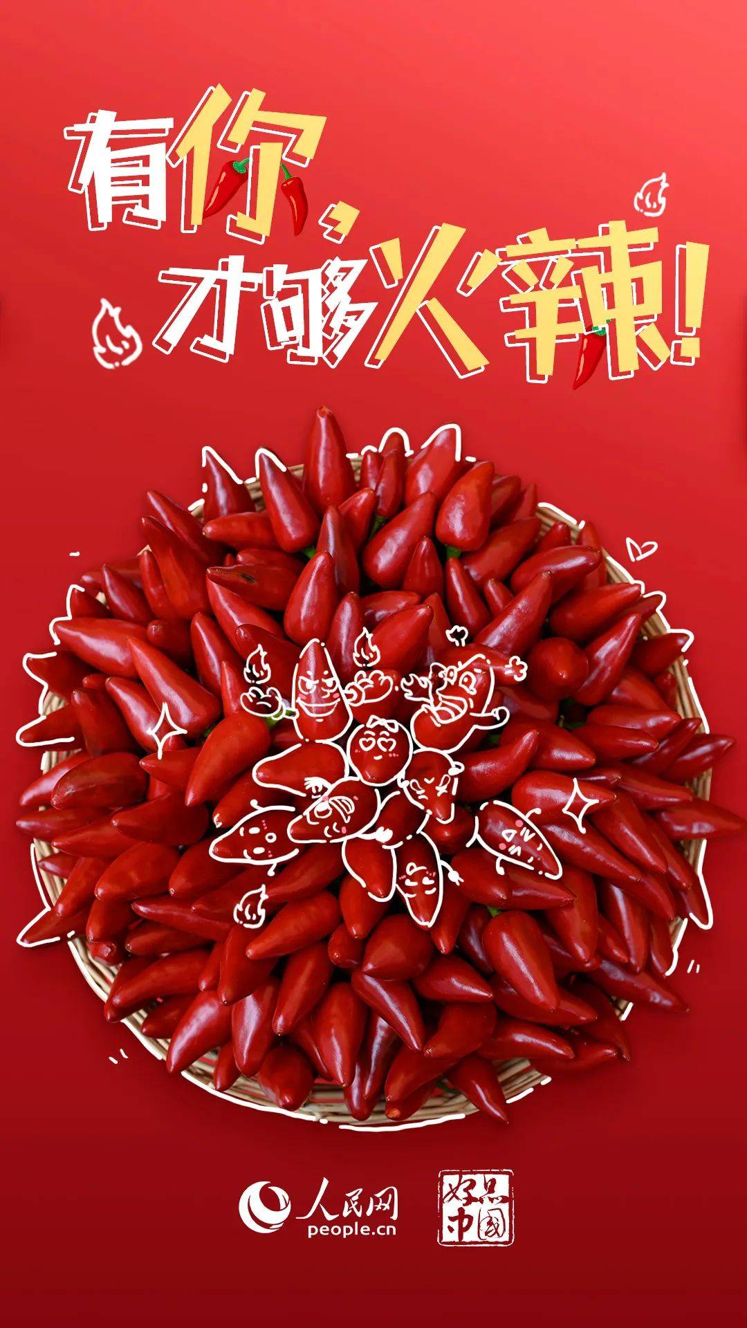 辣椒_种植_遵义