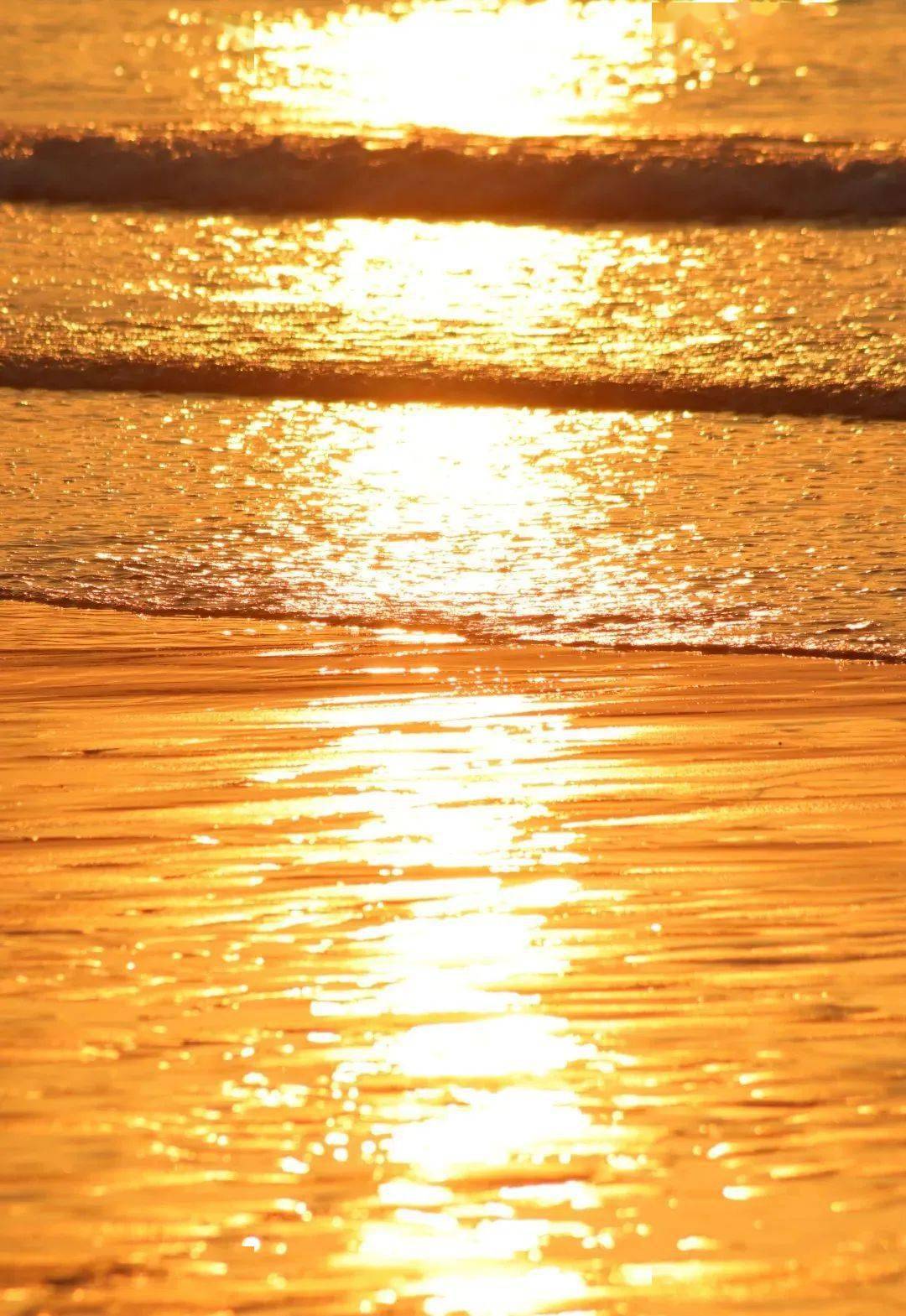 日出青岛,美翻了!_海面_太阳_国利