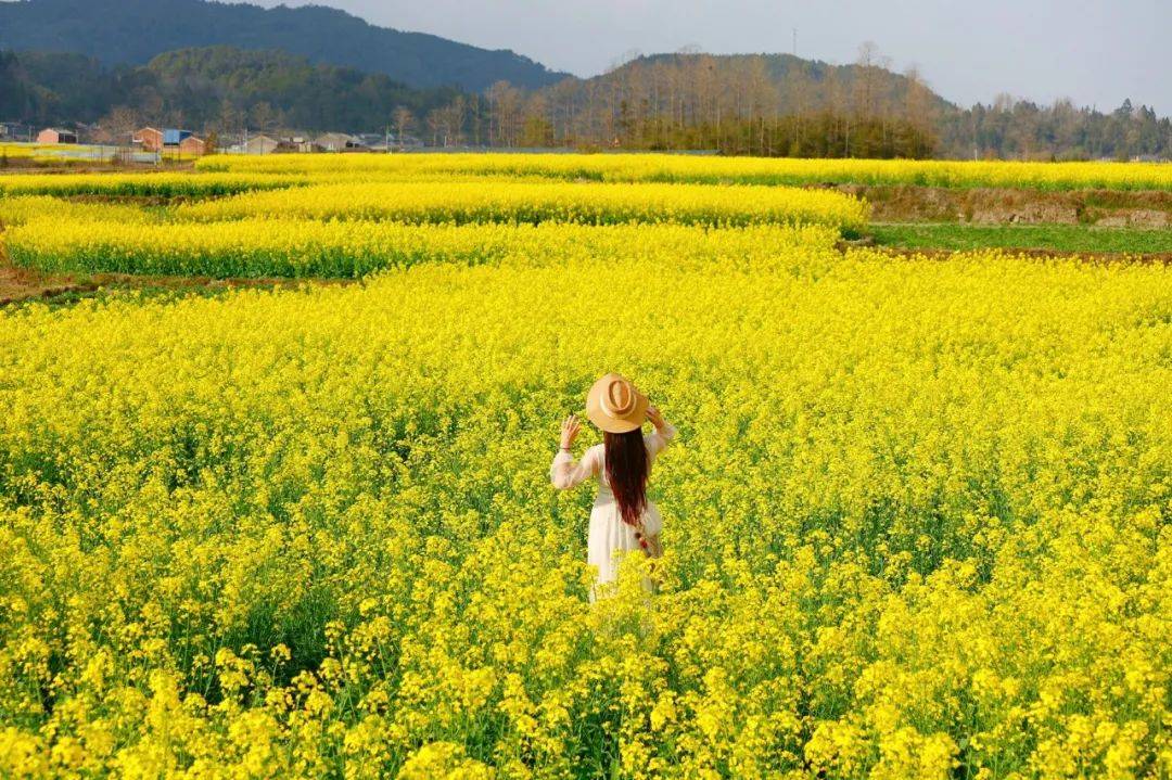 67国旅自组齐聚清远美林湖尊享自助早晚餐打卡古龙峡