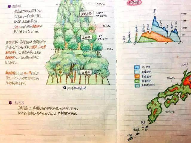 怦然心動的東大學霸筆記整理法有效學習就靠它