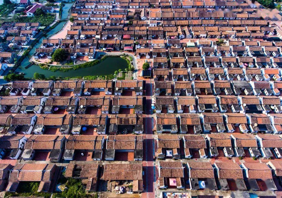 漳州_屋顶_福建