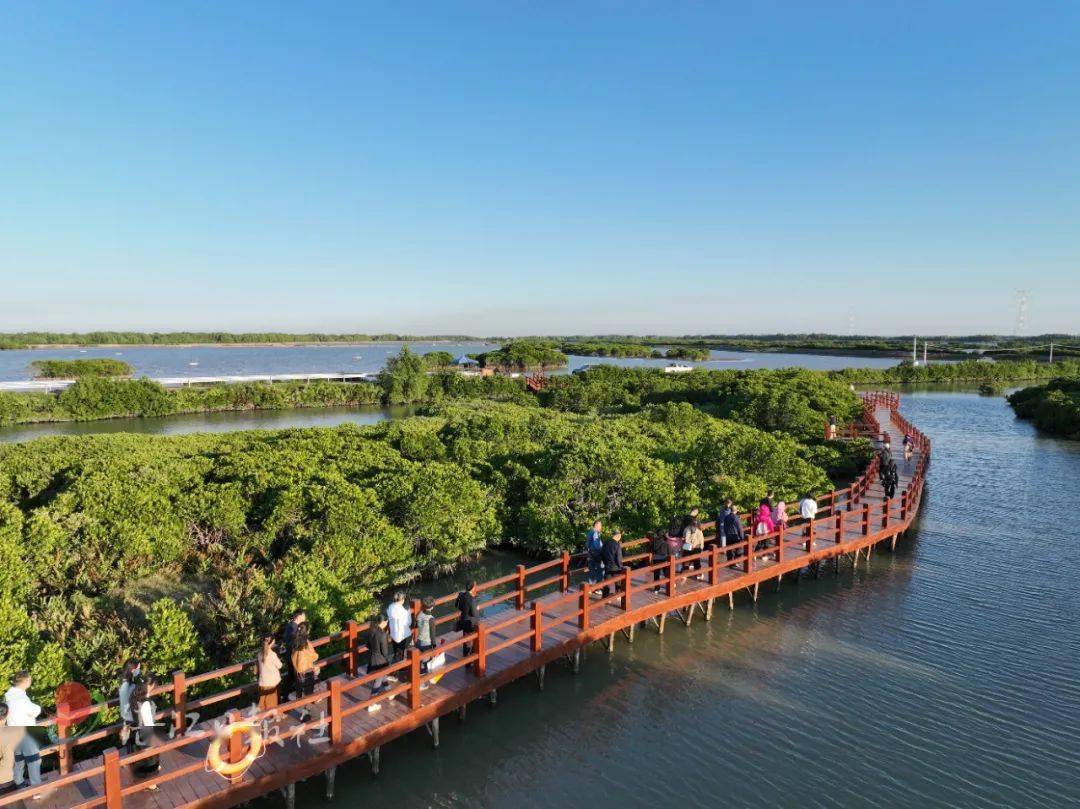 鲜美出圈湛江各县市区这样干