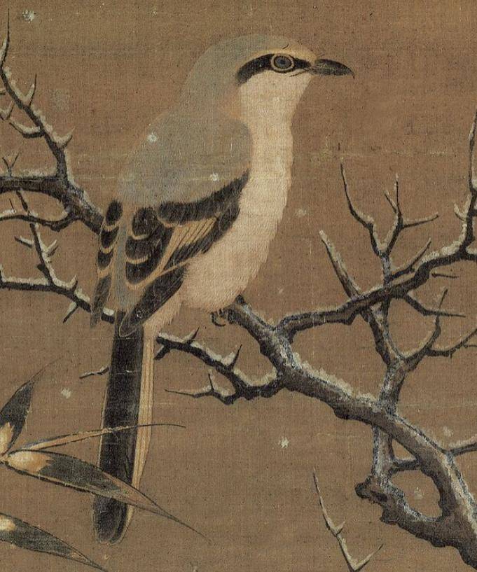 这30只小鸟,美了一千年_故宫博物院_佚名_艺术