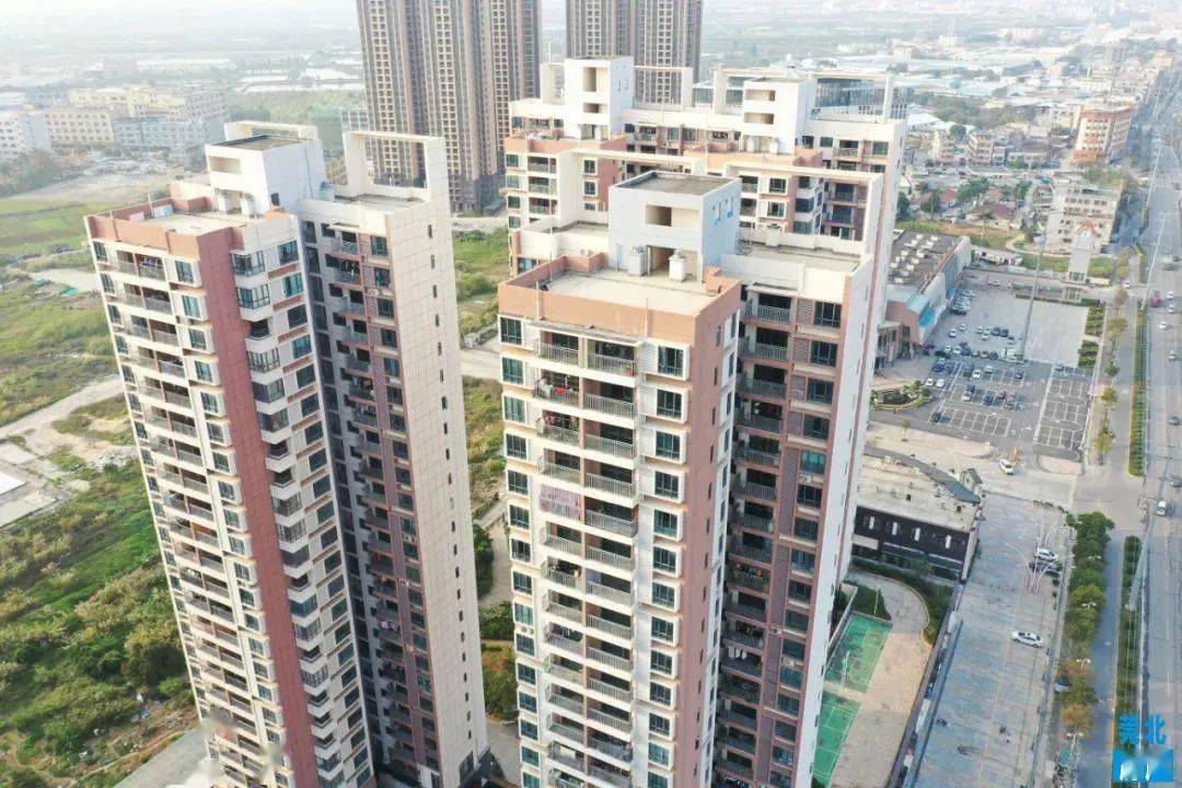 石湾最新学区范围划分来啦!_小区_小学_包括