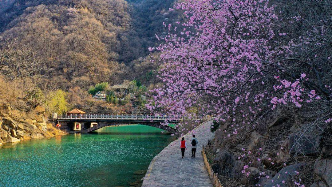 2024年3月8日-4月8日活动地点:秋沟景区活动政策:秋沟景区门票半价