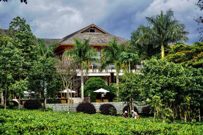 云南景迈柏联酒店在非遗风景区环绕的普洱茶庄园中颐养身心是此生必不