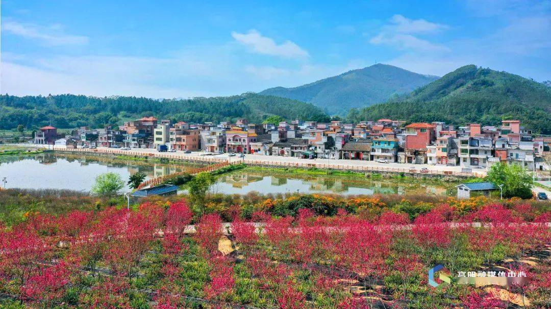 高明含花量100打卡攻略