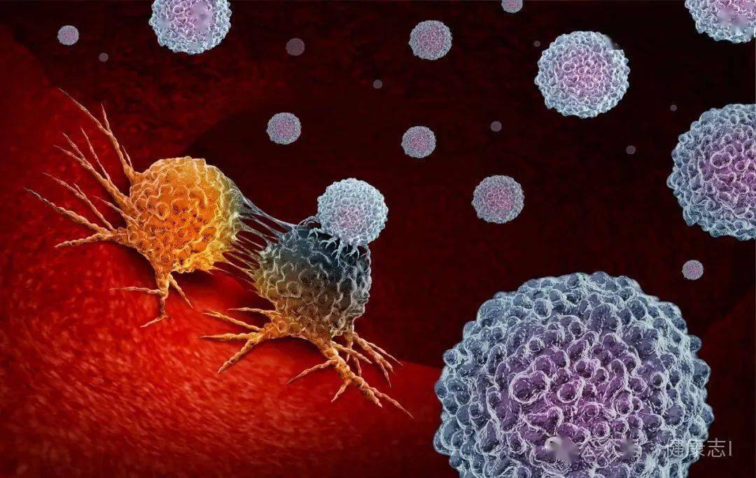 那是没有足够的证据支持可能对人体不致癌的物质