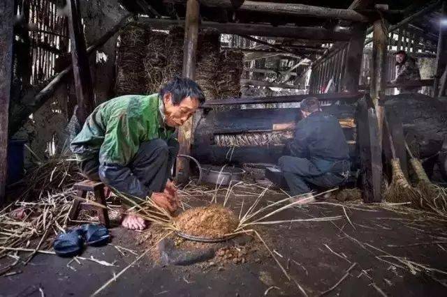 现在已经吃不起了._茶油_油茶_粉末