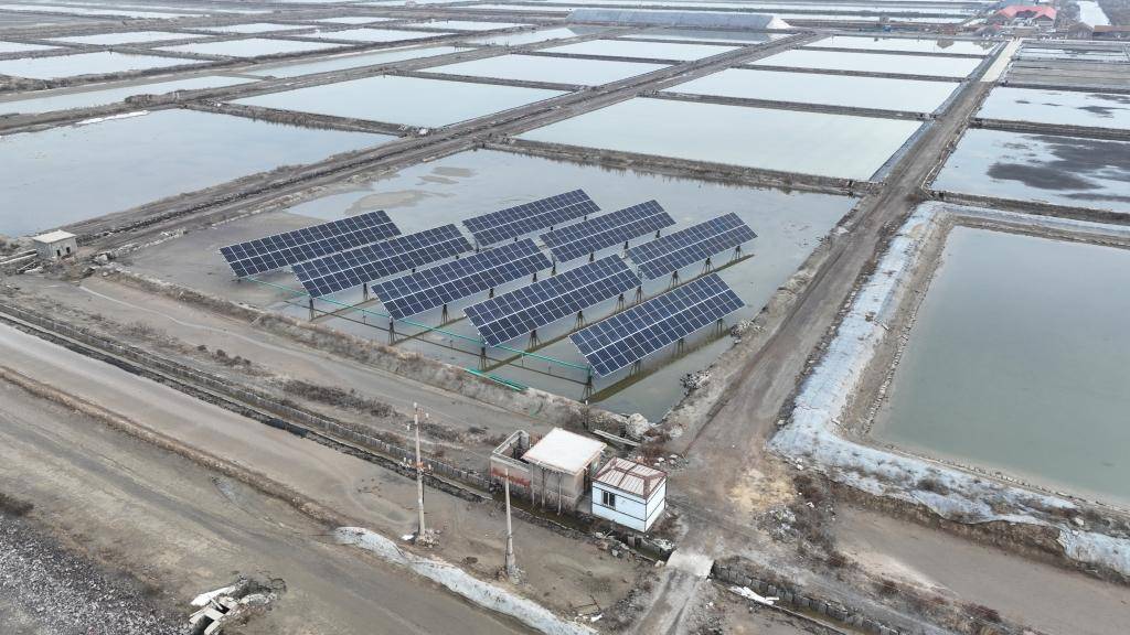 高盐值新征程青岛最后千亩盐田踏上转型路承载一甲子记忆古法制盐年产