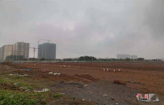 南宁市江南区柔性执法 引导当事人自行拆除违法建筑_马祥_地块_钢架