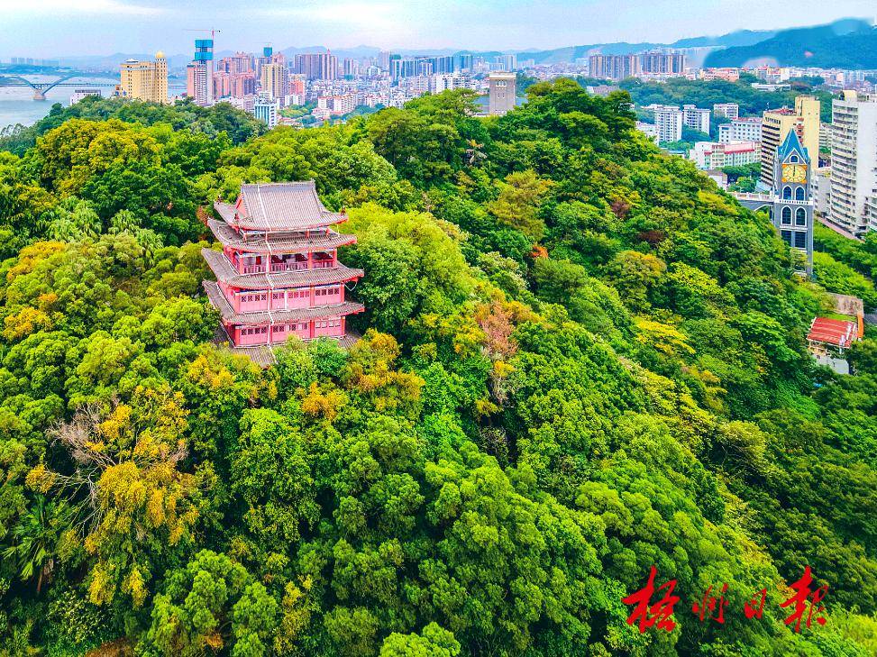 来梧州上春山赴一场春日之约