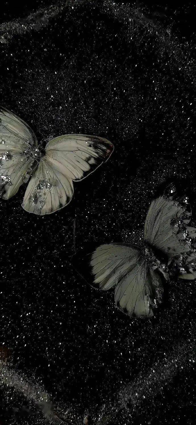 壁纸|心心念念的手机壁纸