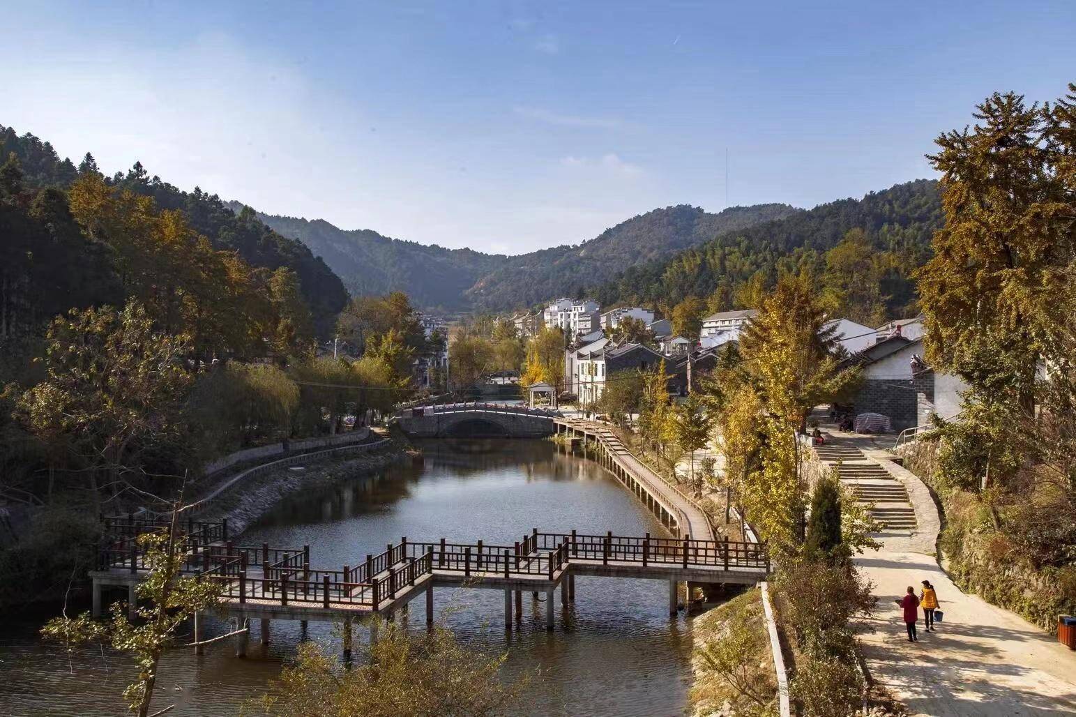 武汉农业农村招商引资突破360亿_发展_大会_优势