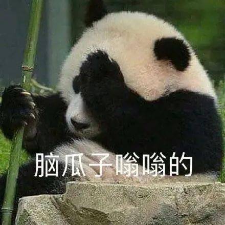 我执行温柔且坚定的"正面管教",女儿和我哭唧唧,摔东西;我采用 "