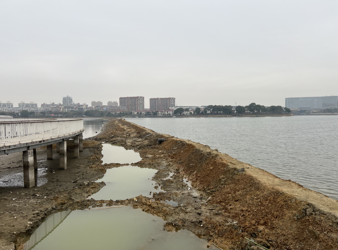 芜湖这个湖正在清淤,湖底出现大量陶盆咋回事?